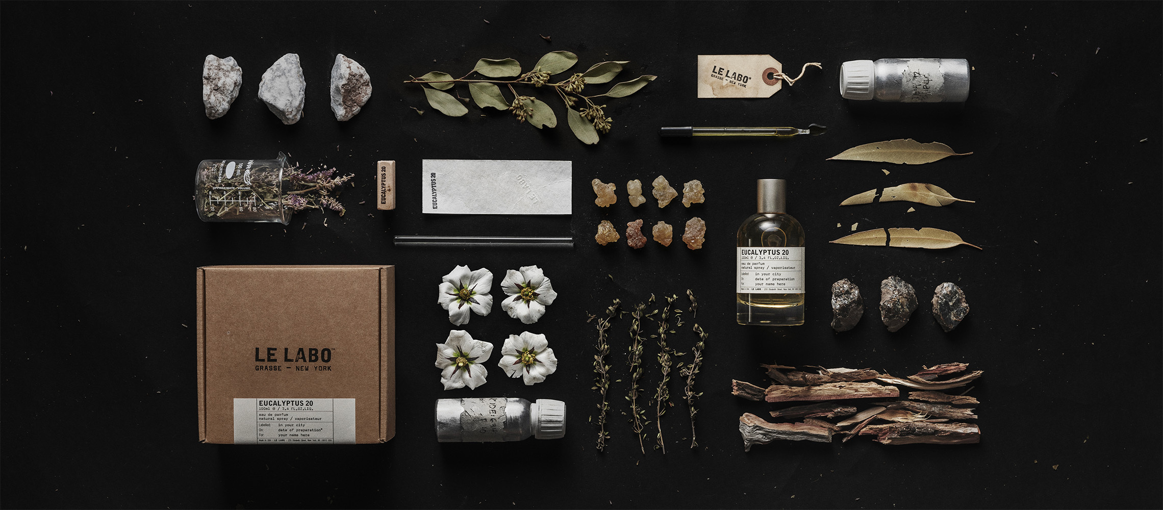 eucalyptus 20